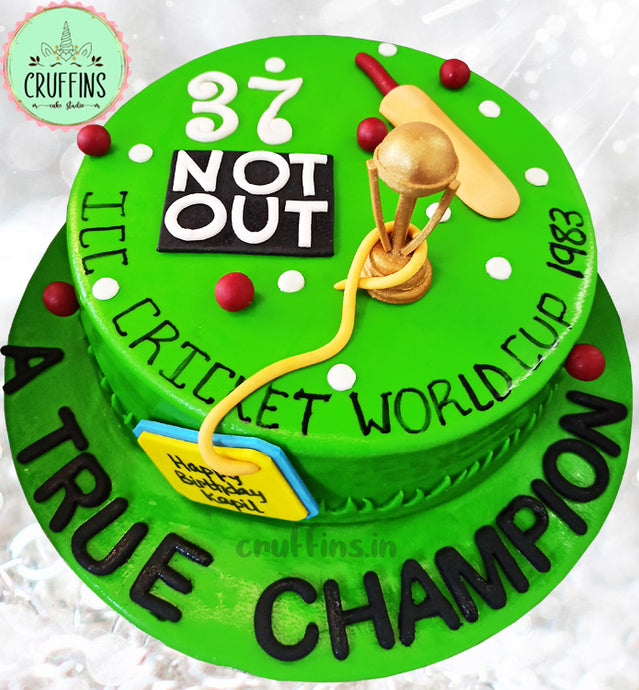 cricket world cup theme cake