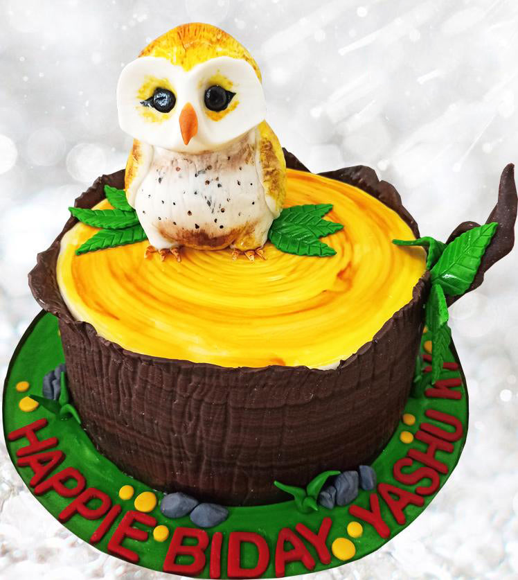 cute owl theme cake